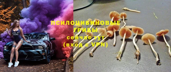 спиды Няндома