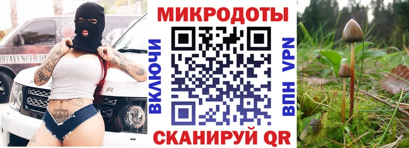 магазин продажи   Сочи  Псилоцибиновые грибы мицелий 