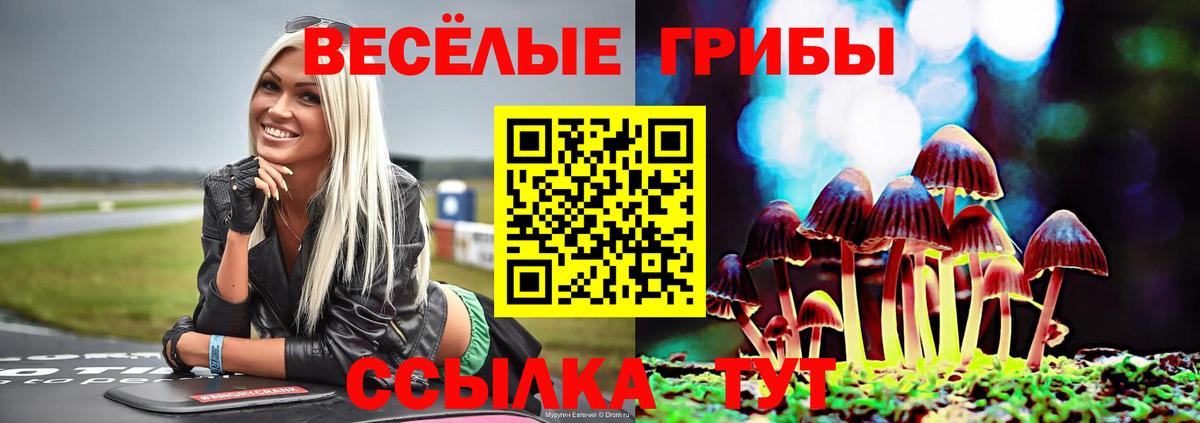 Сочи  купить  цена  Псилоцибиновые грибы ЛСД  Вход с VPN  Псилоцибиновые грибы мухоморы 